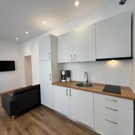 Apartment Ultracentral Piata Muzeului