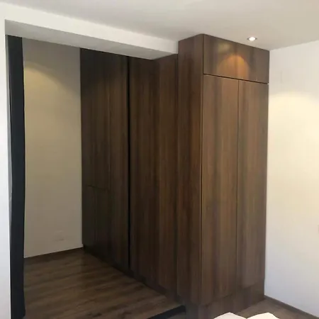 Apartment Ultracentral Piata Muzeului *