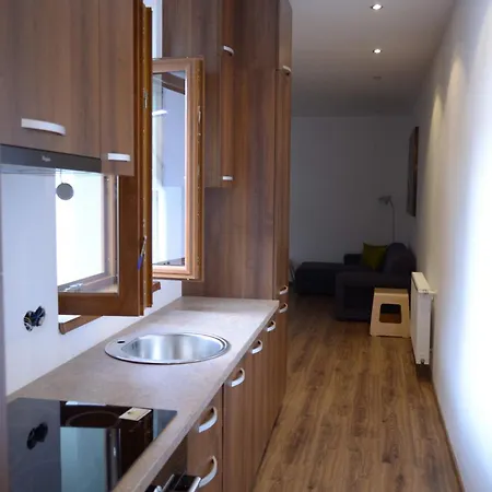 Apartment Ultracentral Piata Muzeului *